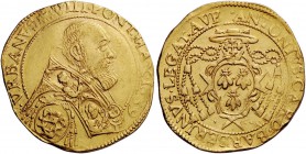 Urbano VIII (Maffeo Barberini), 1623-1644. Avignone. Quadrupla 1639, AV 13,07 g. VRBANVS VIII PONT MAX 1639 Busto con piviale ornato da busti dei SS. ...