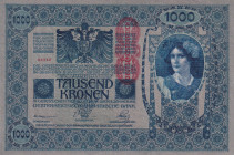 Austria, 1.000 Kronen, 1919, UNC, p59
Estimate: USD 15-30