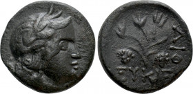 MOESIA. Dionysopolis. Ae (3rd-2nd century BC). Eukle-, magistrate
