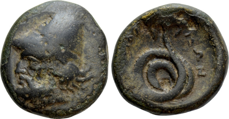 THESSALY. Homolion. Trichalkon (Circa 350 BC). 

Obv: Bearded head of Philokte...