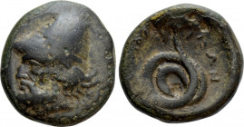 THESSALY. Homolion. Trichalkon (Circa 350 BC)