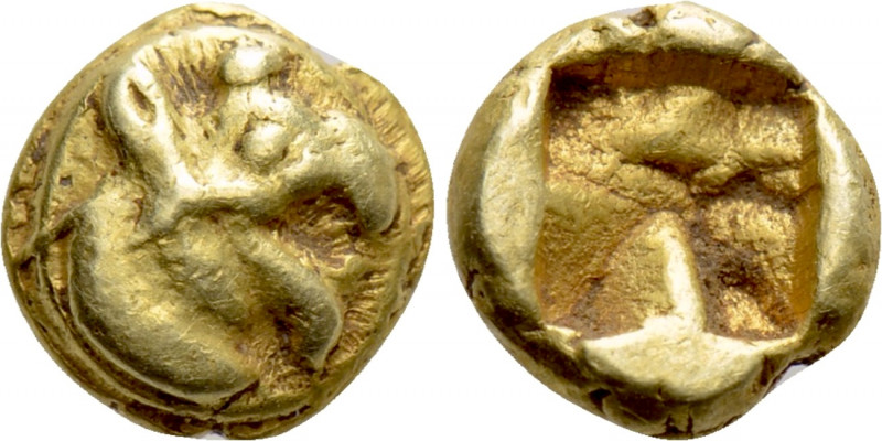 IONIA. Phokaia. EL 1/24 Stater (Circa 625/00 BC). 

Obv: Head of griffin right...