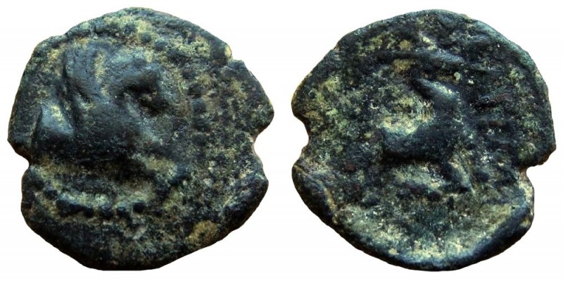 Caria. Bargylia. AE 17 mm.
2nd-1st centuries BC.
Obverse: Forepart of Pegasos ...