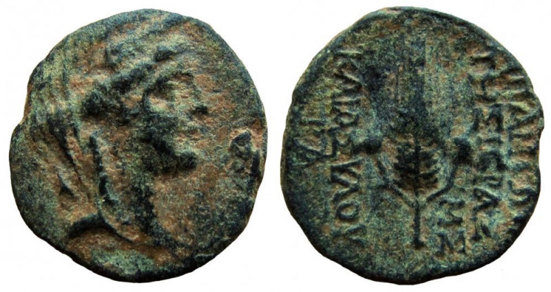 Syria. Seleukis and Pieria. Apameia. AE 18 mm. 

Dated year 240, 73-72 BC.
Ob...