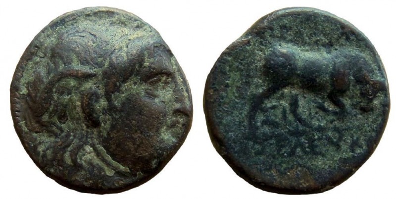Seleukid Kingdom. Seleukos I Nikator, 312-281 BC. AE 13 mm. Sardes mint.

Stru...