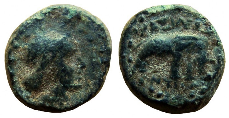 Seleukid Kingdom. Antiochos III, 222-187 BC. AE 10 mm. Antioch mint.

Obverse:...