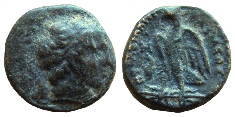 Ptolemaic Kingdom. Ptolemy I Soter, 305-282 BC. AE 13 mm.

Obverse: Diademed h...