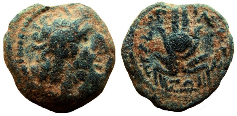 Ptolemaic Kingdom. Ptolemy Apion. King of Kyrenaika, circa 104–96 BC. AE 14 mm. ...