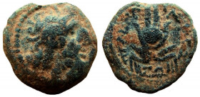 Ptolemaic Kingdom. Ptolemy Apion. King of Kyrenaika, circa 104–96 BC. AE 14 mm. Kyrene mint.
