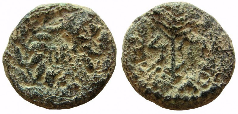 Judaea. Herod III Antipas, 4BC.- 39 AD. AE Half Denomination. Tiberias mint.

...
