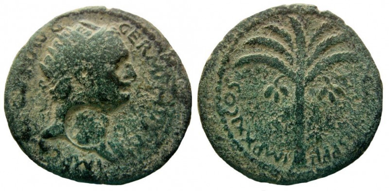 Judaea. Caesarea Maritima. Domitian, 81-96 A.D. AE 27 mm. Judaea Capta issue.
...