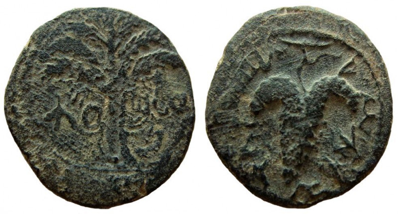 Judaea. Bar Kochba Revolt, 132-135 AD. AE Small Bronze.

19 mm.
Undated issue...