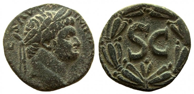 Syria. Seleucis and Pieria. Antioch. Domitian, 81-96 AD. AE 25 mm.

Struck AD ...