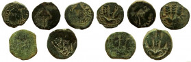 Lot of 5 AE Prutot. Struck 41-42 AD.