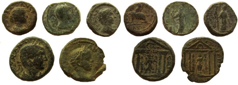 Judaea. Sebaste. Lot of 5 coins.

From fine to good very fine.
Lot sild as is...