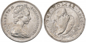 BAHAMAS Elisabetta II (1952-) Dollaro 1966 - KM 8 AG (g 18,23)
SPL