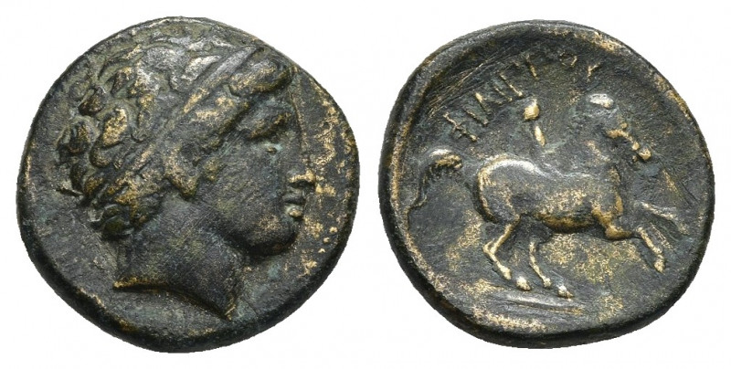 KINGS OF MACEDON. Philip III Arrhidaios (323-317 BC). Ae Unit. Miletos.
Obv: He...