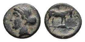 SICILY. Eryx. c. 4th century BC. Ae.
Obv: Female head l.
Horse stepping r., with raised foreleg. Campana 52; CNS I, 20-1; SNG ANS 1329; HGC 2, 328....