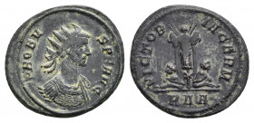 PROBUS (276-282). Antoninianus. Rome.
Obv: IMP PROBVS AVG.
Radiate and cuirassed bust right.
Rev: VICTORIA GERM / R (crescent) A.
Trophy or arms; ...