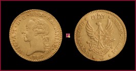 Kingdom of Sardinia, Vittorio Amedeo III (1773-1796), Doppia Nuova, 1789, Turin, 9,10 g Au, 25 mm, MIR Savoia 982d
Extremely fine (Spl)