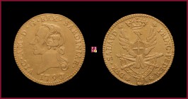 Kingdom of Sardinia, Vittorio Amedeo III (1773-1796), ½ Doppia Nuova, 1793, Turin, 4,51 g Au, 20-21 mm, MIR Savoia 984h, Fr. RRR
Very Fine (BB)