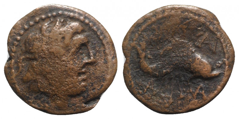 Spain, Carteia, c. 150-100 BC. Æ Semis (23mm, 5.60g, 6h). Laureate head of Jupit...