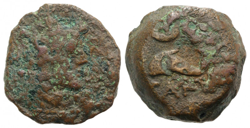Spain, Carteia, 1st century BC. Æ Semis (20mm, 7.64g, 3h). Laureate head of Jupi...