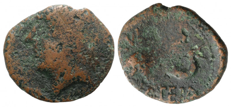Spain, Carteia, 1st century BC. Æ Semis (24mm, 4.85g, 11h). Male head l. R/ Dolp...
