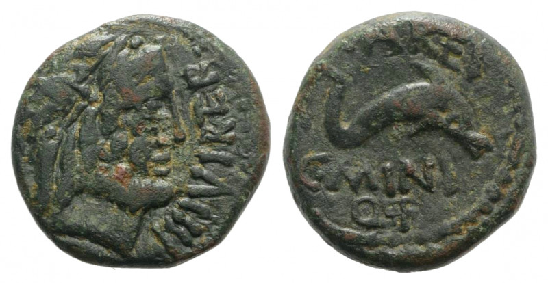 Spain, Carteia, 1st century BC. Æ Quadrans (17mm, 3.87g, 3h). Male head r. R/ Do...