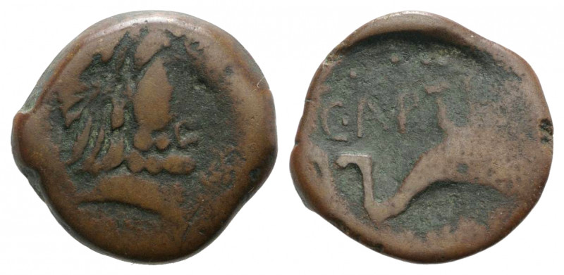 Spain, Carteia, 1st century BC. Æ Quadrans (18mm, 3.83g, 6h). Male head r. R/ Do...