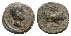 Spain, Castulo, late 2nd century BC. Æ Quarter Unit (16mm, 3.28g, 1h). Diademed male head r. R/ Boar standing r.; star above. CNH 48. Green patina, ne...