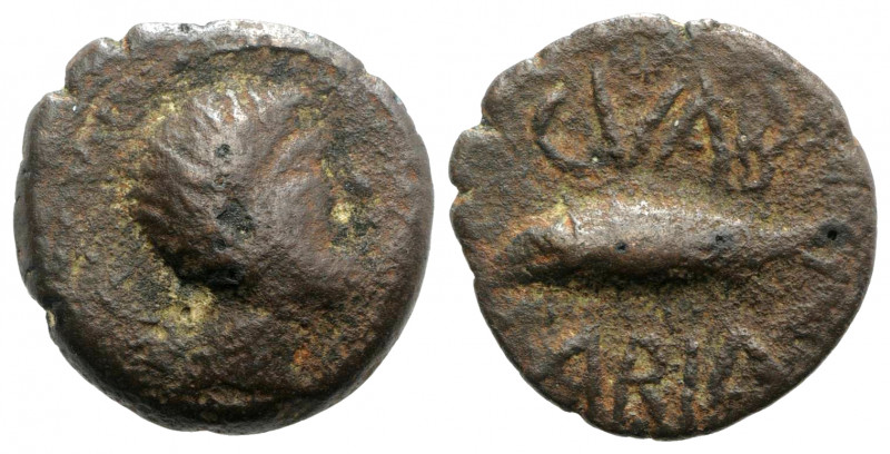 Spain, Cunbaria, 1st century BC. Æ Semis (18mm, 3.76g, 3h). Male head r. R/ Tuna...
