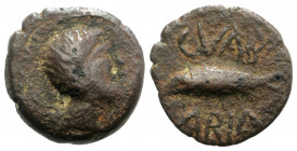 Spain, Cunbaria, 1st century BC. Æ Semis (18mm, 3.76g, 3h). Male head r. R/ Tuna swimming l. CNH 3. Good Fine