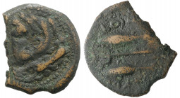 Spain, Gadir (Gades), c. 150-100 BC. Æ Unit (29mm, 7.71g, 1h). Head of Melqart (Herakles) l., wearing lion skin, club on shoulder. R/ Two tunny fish l...