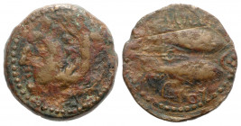 Spain, Gadir (Gades), 2nd century BC. Æ Unit (26mm, 13.01g, 6h). Head of Herakles l., wearing lion’s skin headdress. R/ Two tunny fish l., between, cr...