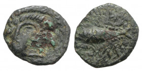 Spain, Gadir (Gades), 1st century BC. Æ Quarter Unit (15mm, 1.58g, 9h). Head of Herakles l., wearing lion’s skin headdress. R/ Tunny fish r. CNH 63. G...