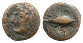 Spain, Gadir (Gades), 1st century BC. Æ Quarter Unit (15mm, 2.83g, 3h). Head of Herakles l., wearing lion’s skin headdress. R/ Tunny fish r. CNH 63. G...