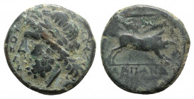 Northern Apulia, Arpi, 3rd century BC. Æ (21mm, 7.51g, 7h). Laureate head of Zeus l.; thunderbolt behind. R/ Boar r.; spear above. HNItaly 642. Green ...