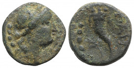 Northern Lucania, Paestum, 218-201 BC. Æ Triens (15mm, 3.84g, 9h). Female head r. wearing ivy wreath; four pellets to l. R/ Cornucopia; four pellets a...