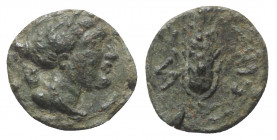 Northern Lucania, Paestum, c. 218-201 BC. Æ Uncia (11mm, 1.18g, 1h). Head of Artemis r.; bow and quiver over shoulder. R/ Corn ear; monogram to l., pe...