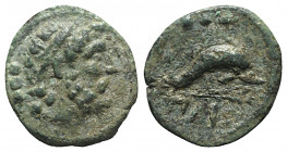 Northern Lucania, Paestum, c. 218-201 BC. Æ Quadrans (14mm, 2.26g, 6h). Diademed and bearded male head r. R/ Dolphin r.; branch below. Crawford 11/2; ...