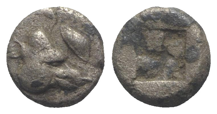 Lesbos, Unattributed early mint, c. 500-450 BC. BI Obol (7mm, 0.91g). Boar’s hea...