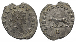 Gallienus (253-268). Antoninianus (22mm, 2.14g, 12h). Rome, 267-8. Radiate, draped and cuirassed bust r. R/ Panther standing l.; B. RIC V 230; RSC 586...