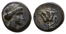 ISLANDS off CARIA. Rhodes. Circa 230-205 BC. Æ 
Reference:
Condition: Very Fine

Weight: 1.6 gr
Diameter: 11 mm