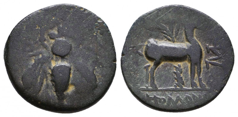 IONIA. Ephesus. AE, ca. 305-288 B.C.
Reference:
Condition: Very Fine

Weight...