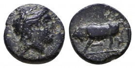 IONIA. Magnesia ad Maeandrum. Ae (2nd-1st centuries BC).
Reference:
Condition: Very Fine

Weight: 1.0 gr
Diameter: 10 mm