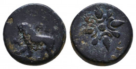 IONIA, Miletos. Circa 350-325 BC. Æ 
Reference:
Condition: Very Fine

Weight: 2.3 gr
Diameter: 12 mm