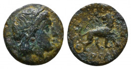 Ionia. Miletos circa 259-246 BC.
Reference:
Condition: Very Fine

Weight: 0.9 gr
Diameter: 11 mm