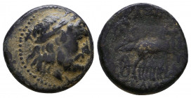 Greek Coins, Ae. (359-336 BC), Æ
Reference:
Condition: Very Fine

Weight: 4.5 gr
Diameter: 18 mm