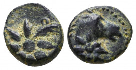 PONTUS, Uncertain mint. Late 1st century BC. Æ
Reference:
Condition: Very Fine

Weight: 1.6 gr
Diameter: 10 mm